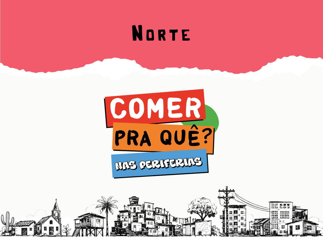 imagem ilustra a região norte